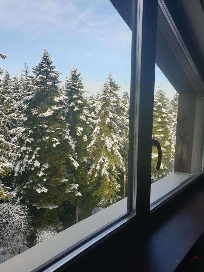 Borovets Forest View ภายนอก รูปภาพ
