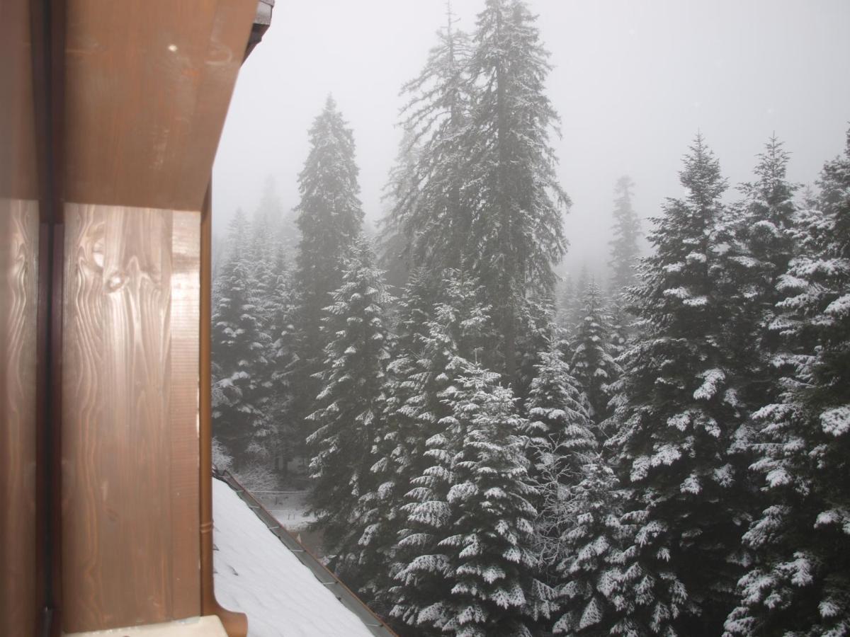 Borovets Forest View ภายนอก รูปภาพ