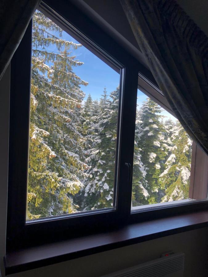 Borovets Forest View ภายนอก รูปภาพ