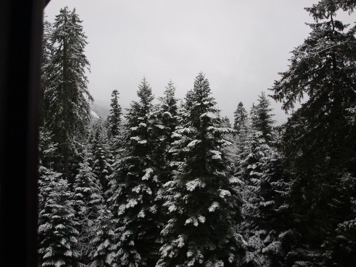 Borovets Forest View ภายนอก รูปภาพ